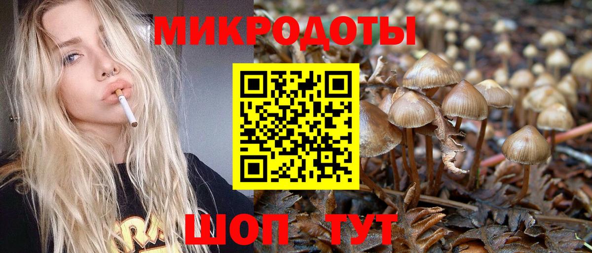 Галлюциногенные грибы Psilocybe  Вход с VPN  Лесозаводск 