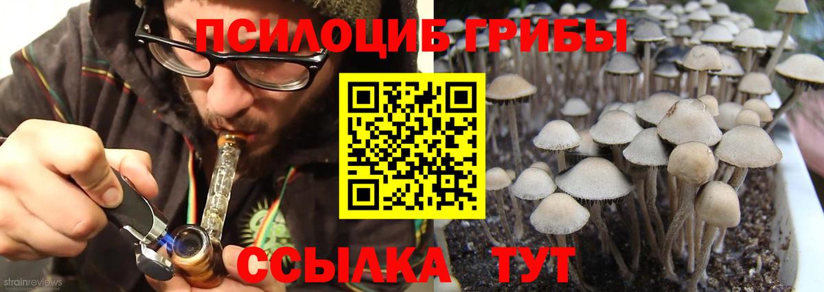 Амфетамин Лесозаводск